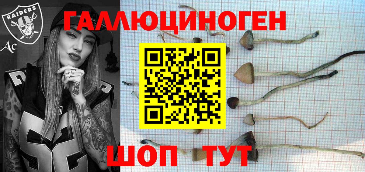 Галлюциногенные грибы MAGIC MUSHROOMS  Галлюциногенные грибы GOLDEN TEACHER  Советская Гавань  Вход с VPN 